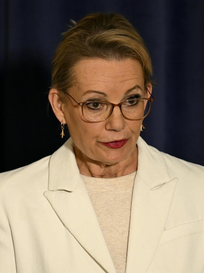Ms Ley on Tuesday. Picture: NewsWire / Martin Ollman
