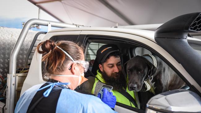 Members of the public and health workers at a pop up Covid testing clinic at Forrester Road, St Marys. Picture: NCA NewsWire / Flavio Brancaleone