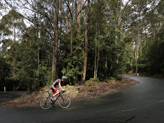 Colour and action from day one of the 2014 Tour of Tasmania cycling challenge.