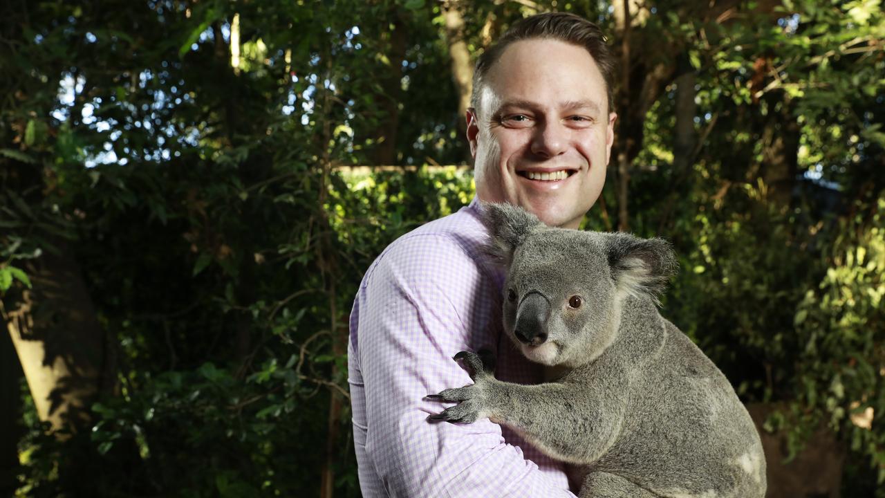 Brisbane Koala Festival in Mt Gravatt East | The Courier Mail