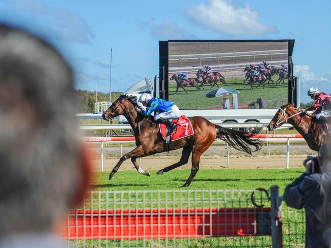 2019 Coffs Harbour Gold Cup.