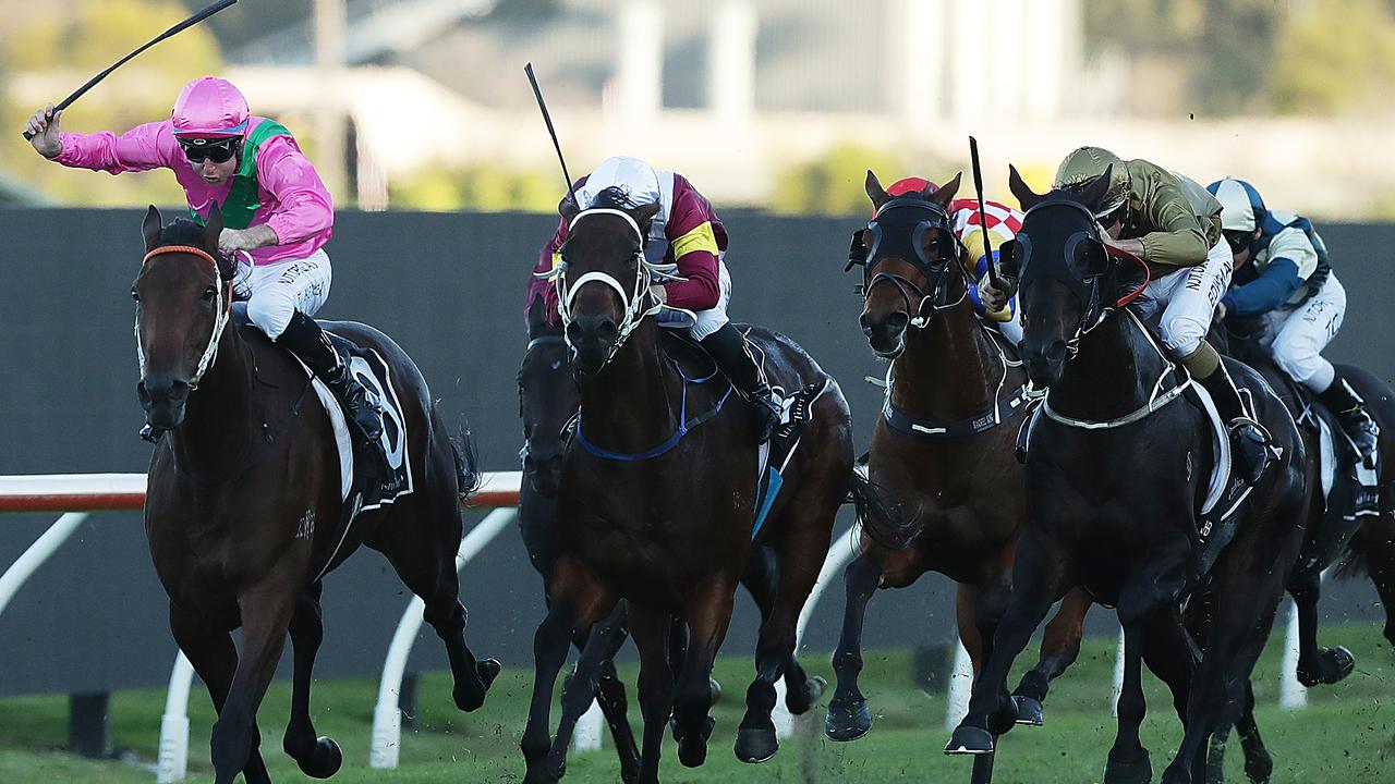 Amangiri (left) appreciated the firmer surface at Rosehill Gardens. Picture: Getty Images