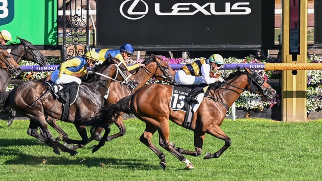 Mark Twain taking out the Listed Roy Higgins