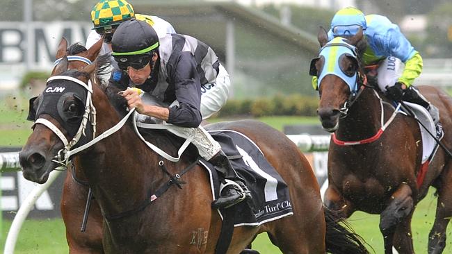 Red Tracer won the Millie Fox Stakes before almost falling and recovering to run third in the Canterbury Stakes. Picture: Simon Bullard