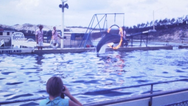 Marineland opened in 1965 and was originally called the Seaquarium with a focus on looking after sea creatures. It changed its name to Marineland before it was bought and merged with Sea World.