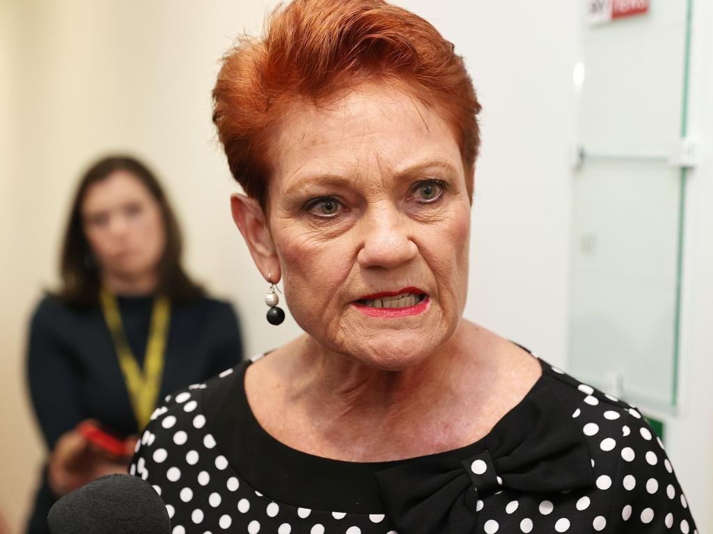 Senator Pauline Hanson wants women to ‘stop demonising men’. Picture: NCA NewsWire / Gary Ramage