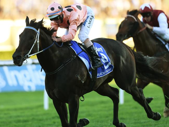 Royal Randwick Racecourse, David Jones Australian Derby Day. Darley T J Smith Stakes. Race 9 winner number 9 Black Caviar ridden by Luke Nolan.