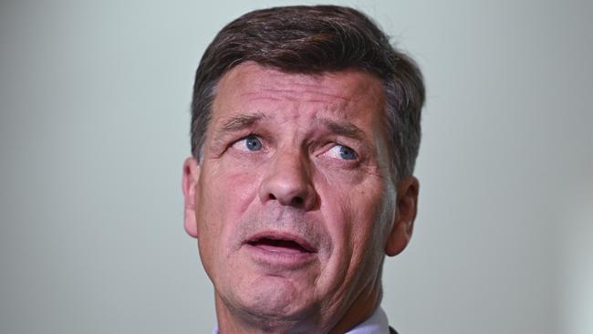 Angus Taylor claims Labor’s ‘big government’ agenda is hurting the economy, while the RBA governor says ‘would be worse without’ big boosts to the public sector. Picture: NewsWire / Martin Ollman