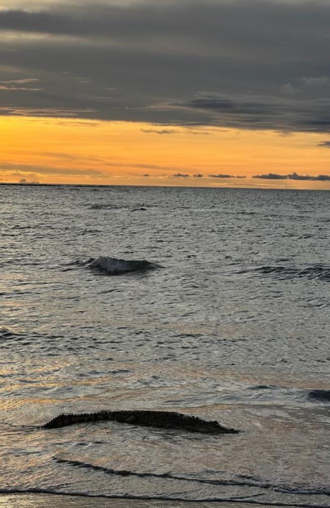 Croc at Casuarina Beach on Easter Monday. Picture: Supplied