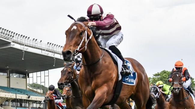 Grandview Avenue romps to victory with Teodore Nugent on board. Picture: Racing Photos via Getty Images