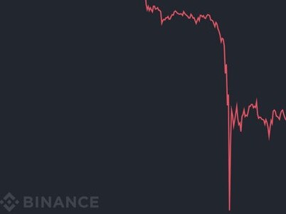 The price of bitcoin crashed overnight.