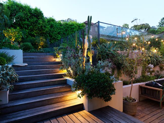 EMBARGO FOR TWAM 09 JULY 2022. FEE MAY APPLY.  Residential garden in Maroubra, Sydney by Pepo Botanic Design. Photo: Nick Bowers