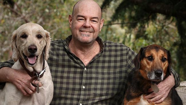 WARNING WARNING CONTACT HERALD SUN BEFORE USING 9292 1895 WARNING WARNINGHeraldSun chief football writer mark Robinson at home in Warrandyte with his dogs Elvis (left) and Tiger, 12 weeks post 6 way heart bypass operation.       . Photo by Michael Klein