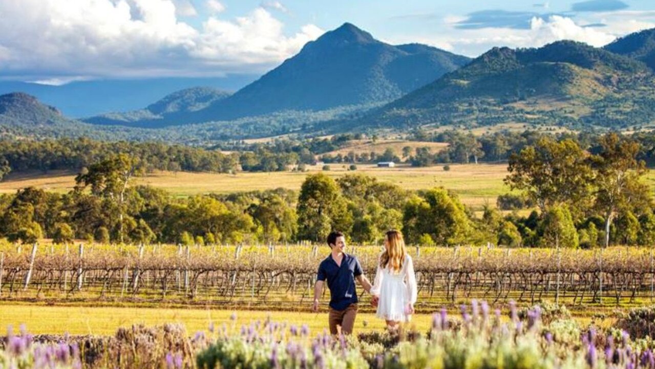 Take a walk through Kooroomba Vineyard and Lavender Farm.