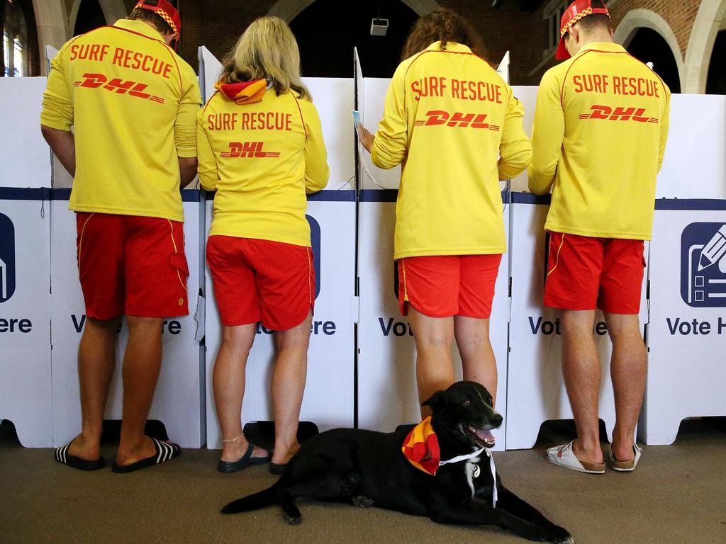 Lifeguards vote early at a pre-poll centre in Manly. Picture: Tim Hunter.