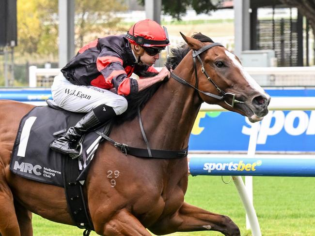 Dunkel (NZ) ridden by Billy Egan wins the Vale Verry Elleegant  at Caulfield Racecourse on February 24, 2024 in Caulfield, Australia. (Photo by Reg Ryan/Racing Photos via Getty Images)