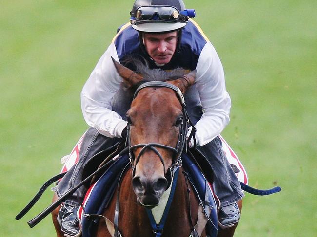 MELBOURNE, AUSTRALIA - OCTOBER 24:  Aloisia ridden by Luke Nolen gallops during Breakfast With The Stars at Moonee Valley Racecourse on October 24, 2017 in Melbourne, Australia.  (Photo by Michael Dodge/Getty Images)