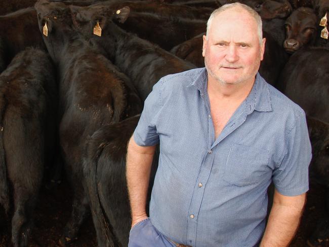 Wayne Ellis, manager Seven Creeks at Euroa and the property's young calves at 232kg which made $2000 or 862c