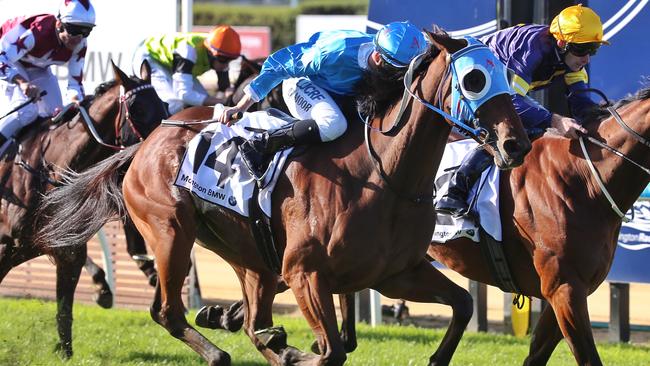 Mornington Racecourse Double Membership