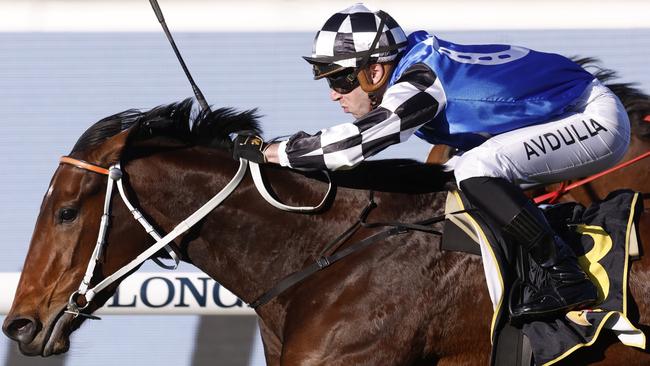 Brenton Avdulla can land a race to race double on Highly Ambitious and Seiryu. Picture: Getty Images