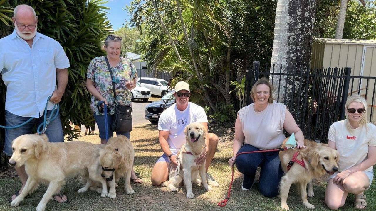 Four puppies who were allegedly stolen in a Cairns home invasion last year have been reunited again, this time to celebrate their first birthday. Photos: QPS.