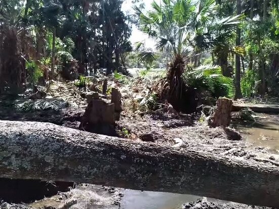 A screenshot of the video taken by John Illingsworth. It shows land cleared in Warriewood wetlands.