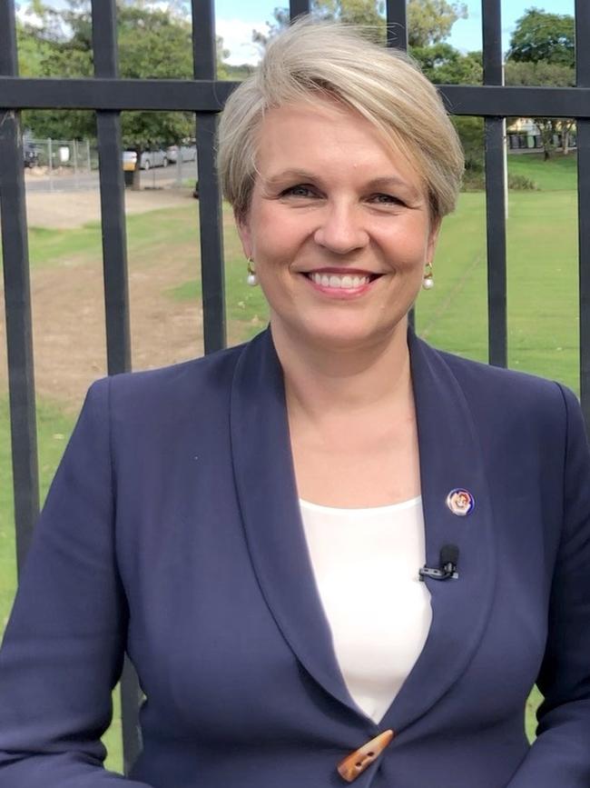 Tanya Plibersek might be all smiles during the election coverage.