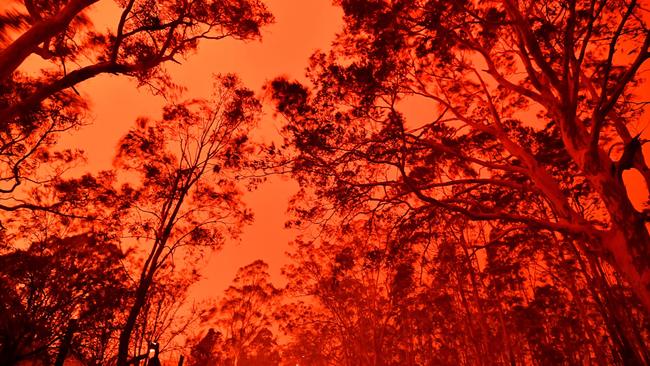 There are calls for fuel loads in national parks to be aggressively managed through hazard reduction burning and selectiv­e logging. Picture: AFP