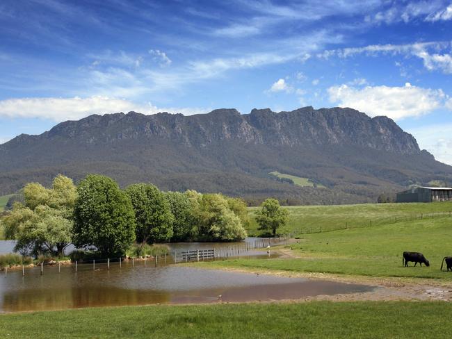 Saturday Magazine Tassie Towns, the town of Paradise near Sheffield in northern Tasmania, scenic view of (Mt) Mount Roland, cattle in a paddock and a flooded dam