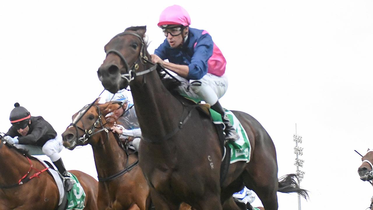 TAC - If We All Get Home Safely, Everyone Wins 2YO Maiden Plate