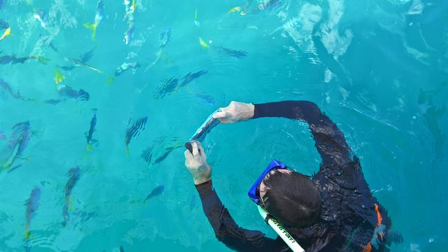 Alverez came up with a waterproof case for his phone at the last minute, giving him the chance to capture the Great Barrier Reef.