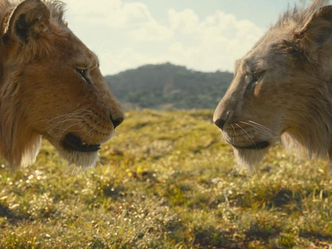 Mufasa (voiced by Aaron Pierre) and Taka (voiced by Kelvin Harrison Jr.) in Disney’s live-action Mufasa: The Lion King.