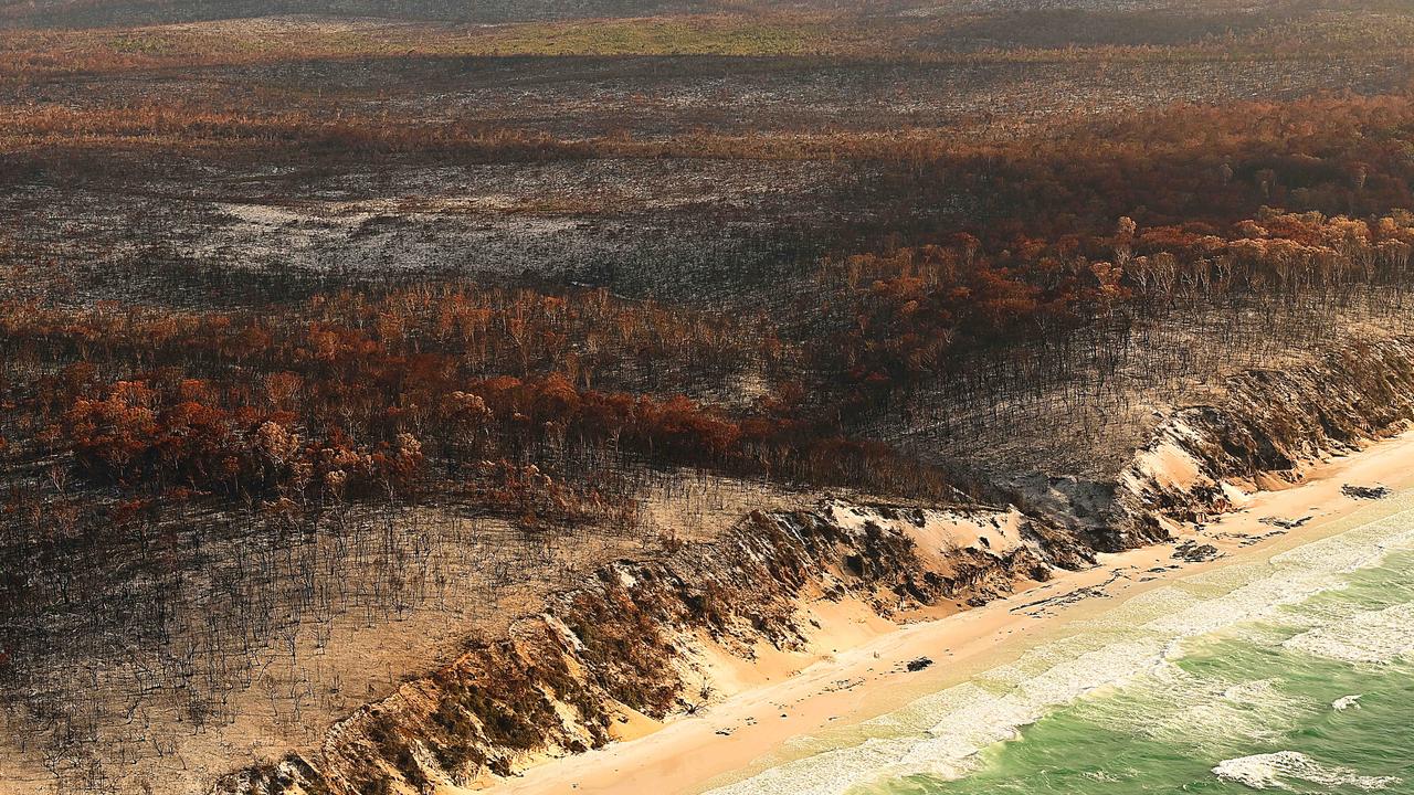 The burnt aftermath of the bush fire on world heritage listed Fraser Island. Pic: Lyndon Mechielsen