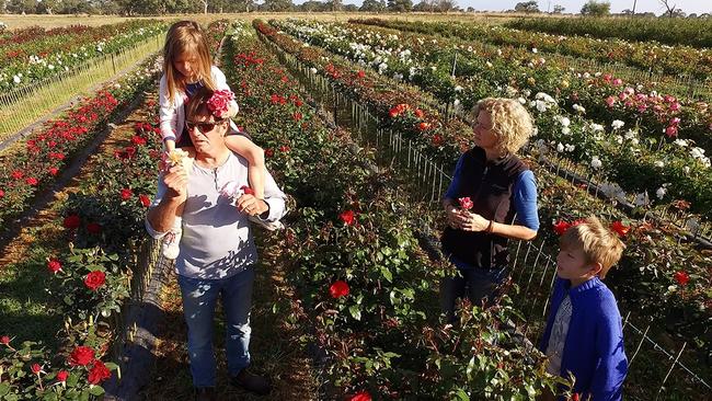 Exports are coming up roses for South Australian business Wagner's.