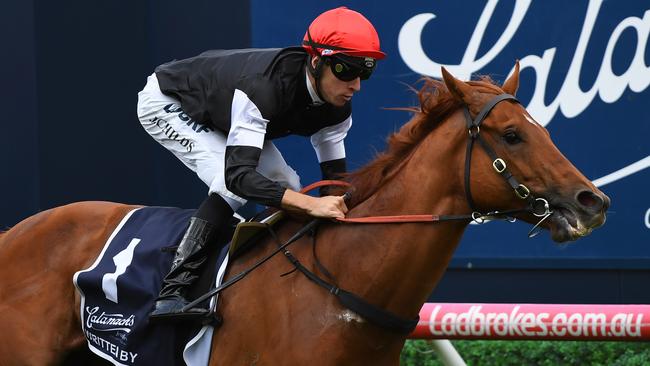 Written By will be hard to beat in the Coolmore Stud Stakes. Picture: AAP