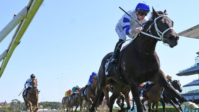 Nick Quinn believes punters will see the best of Shaquero on Saturday.