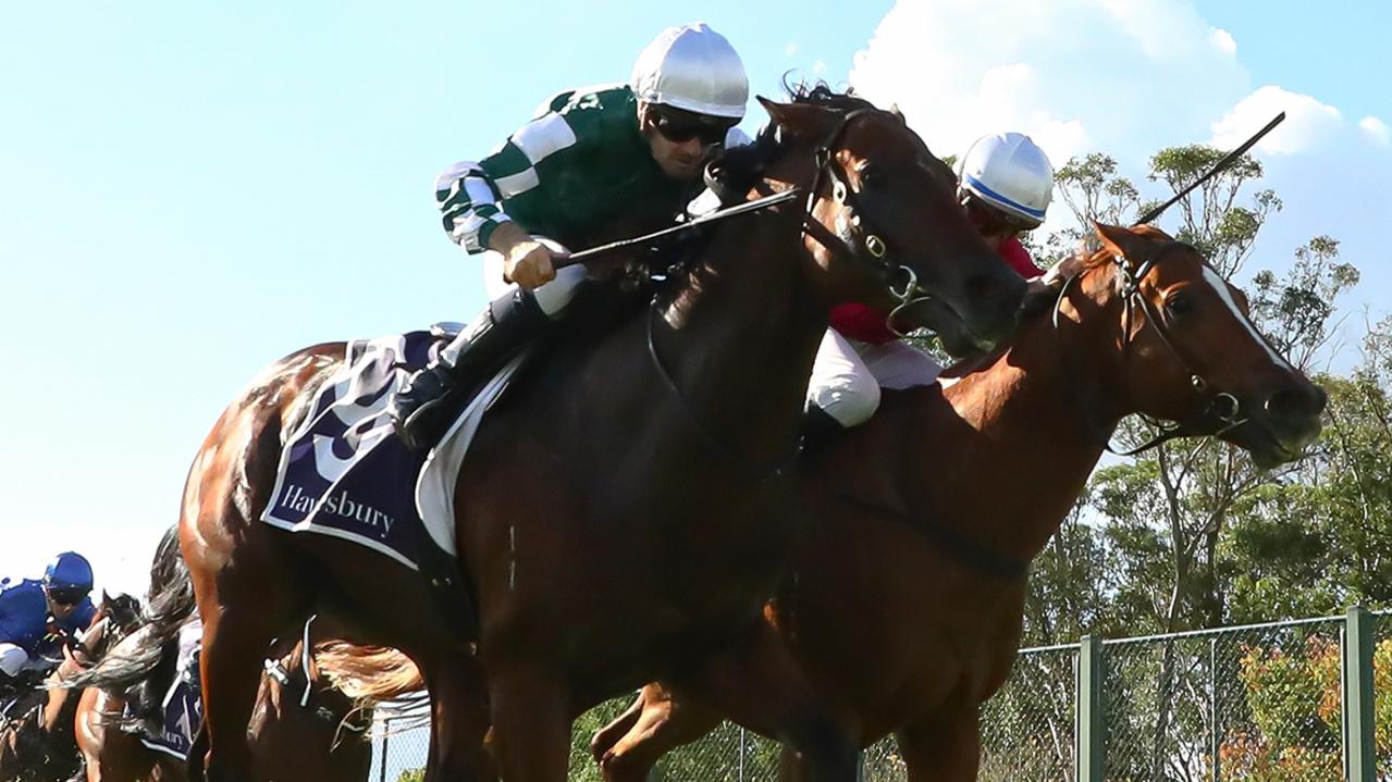 Snowden claims another Hawkesbury feature with Media World