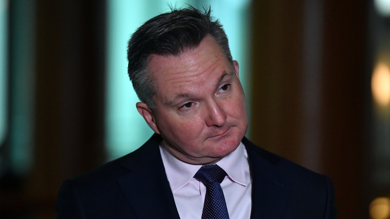 ‘Ridiculous’: Chris Bowen tries to denounce nuclear energy as ‘unproven’