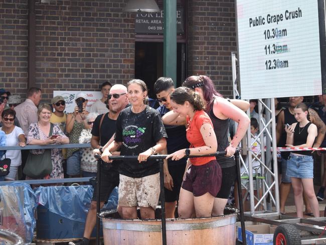 A family from the Sunshine Coast wasn’t prepared for the chaos at the Apple and Grape Festival grape crush, March 1, 2024