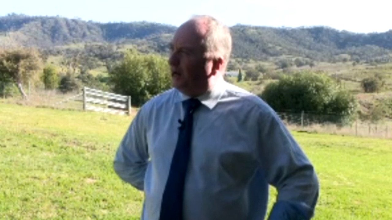 ‘Be quiet’: Barnaby Joyce tells off noisy bird interrupting live interview