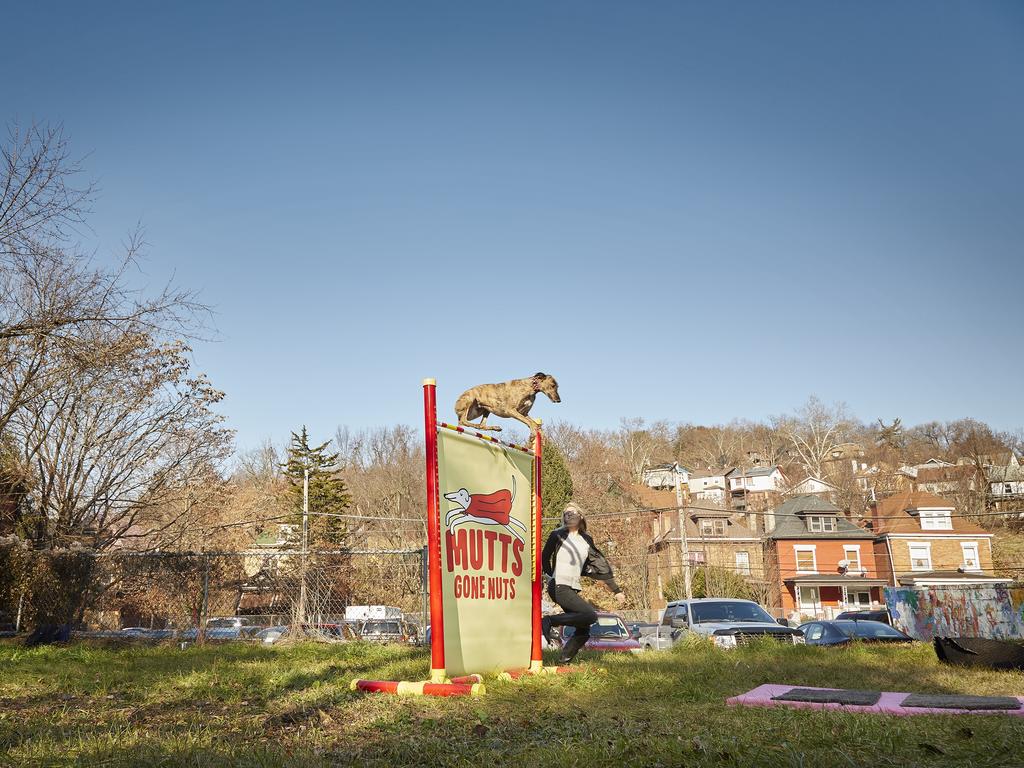 Feather - Highest jump by a dog. Picture: Kevin Scott Ramos/Guinness World Records