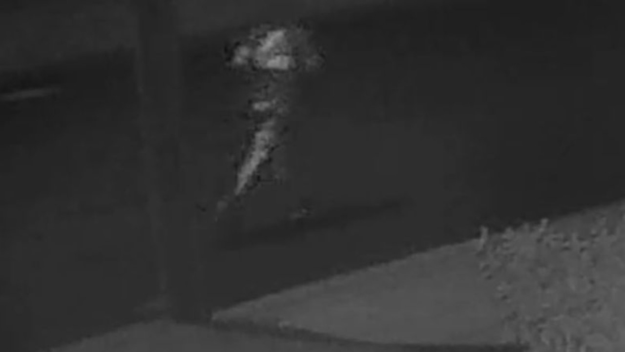 Strike Force Honefoss: NSW Police have released CCTV footage of a man ...