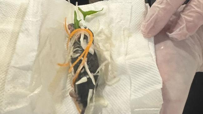 A dead rat allegedly found in a salad at a Sydney restaurant. Picture: Supplied