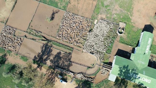 Dutch agricultural investors Optifarm, sold the Jemalong Station for $85 million last year.