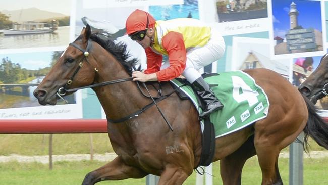 Quire is primed to hit winning form at Goulburn on Friday. Picture: Bradley Photos