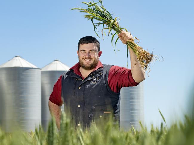 CROPS: Rob Fox Agronomist in wheat cropPICTURED: Rob Fox Agronomist in wheat cropPicture: Zoe Phillips