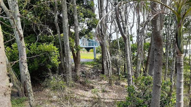 Evidence of vegetation being poisoned on Woolgoolga headland along Pollack Esplanade.