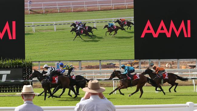 First official trials at Eagle Farm. Picture: Annette Dew