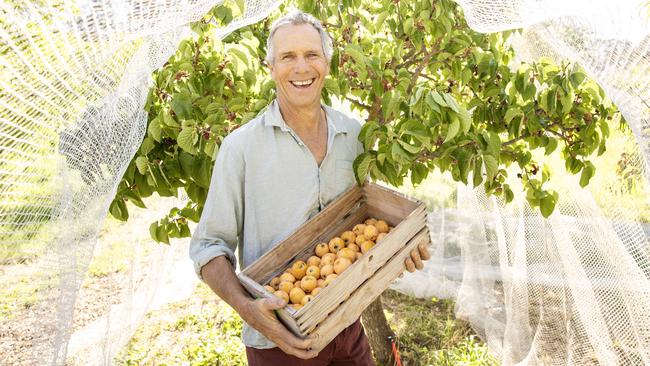 NEWS: David Arnold Permaculture - MurrnongMurrnong Farm is a permaculture farm run by David Arnold at Violet Town. PICTURED: David Arnold with a box of Loquat fruit infront of a mulberry tree on Murrnong Farm at Violet TownPicture: Zoe Phillips