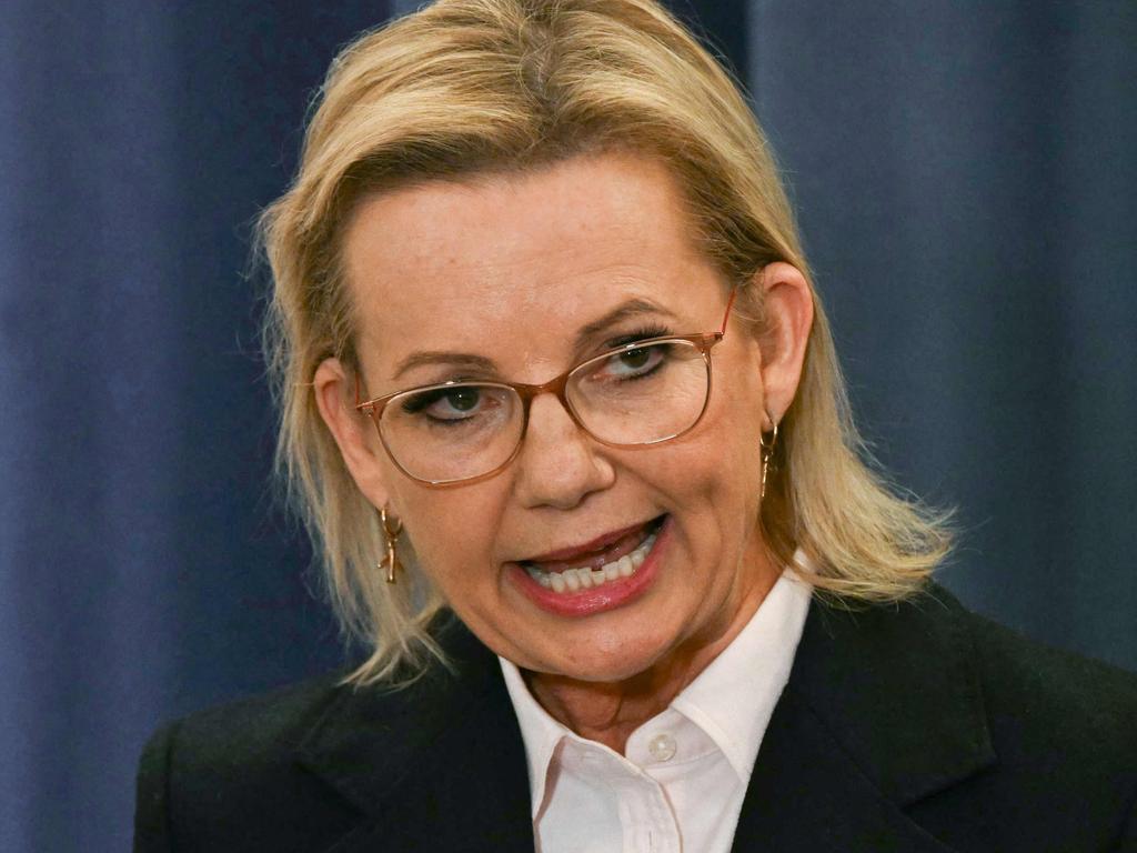 Sussan Ley snapped back at a reporter. Picture: by Saeed Khan / / AFP